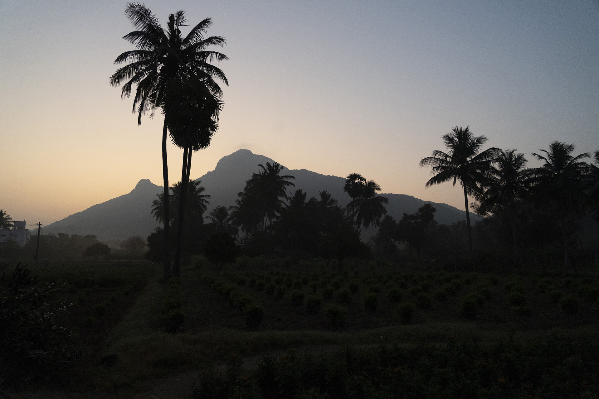 Arunachala